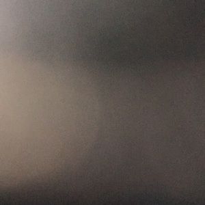 Meet your Posher, Ronnie